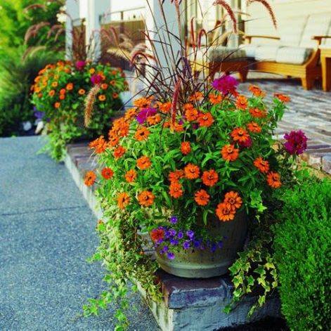 Exterior Plant Design in Panama City, FL | Heroman Services Plant Company